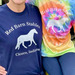 Red Barn Stables T-Shirts, a Navy Classic Unisex Tee