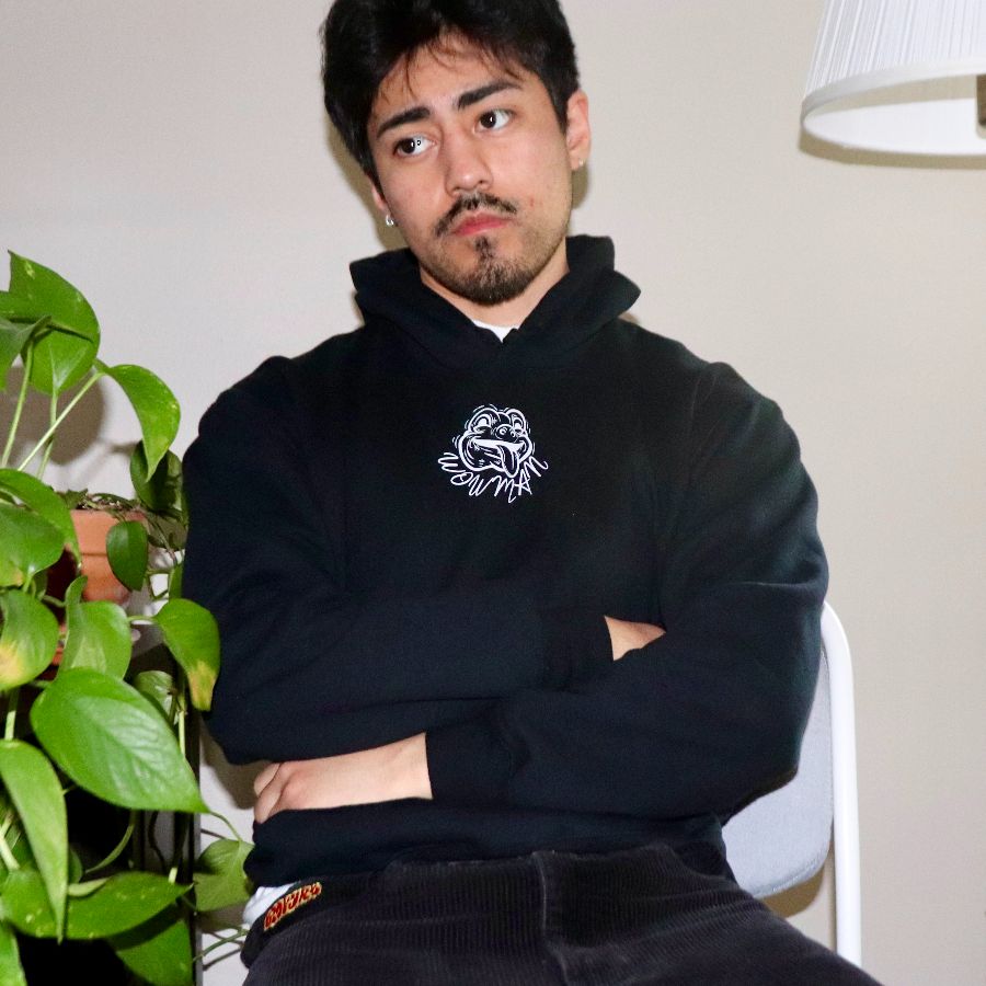 WOWMAN FROG - INVERTED!, a Black Gildan Softstyle Pullover Hoodie