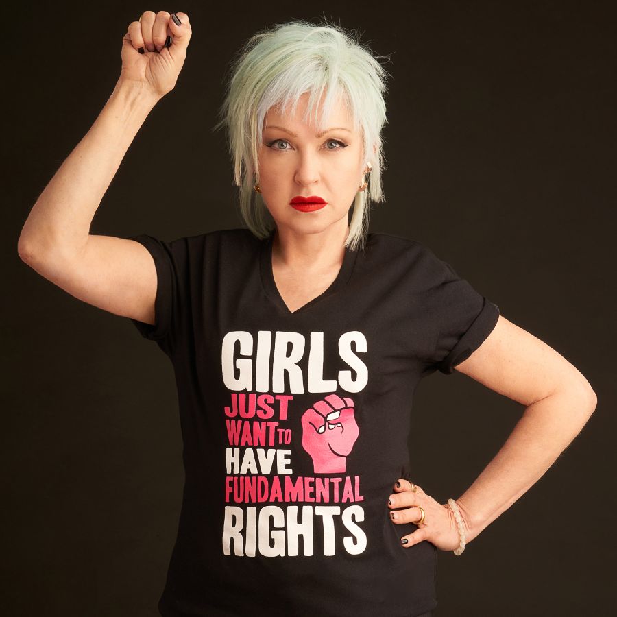 Girls Want Fundamental Rights ? 2025, a Solid Black Blend Premium V-Neck Tee