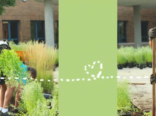 Connect w supporters header