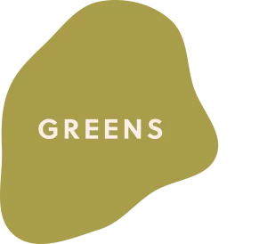 Green Fall T-Shirt Colors