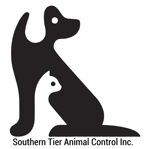 store-logo