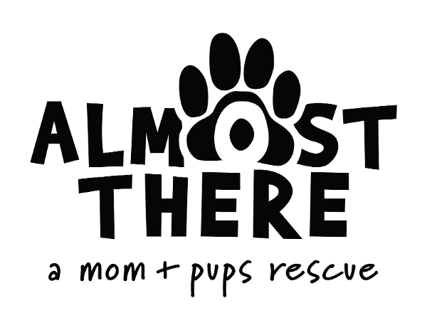 store-logo
