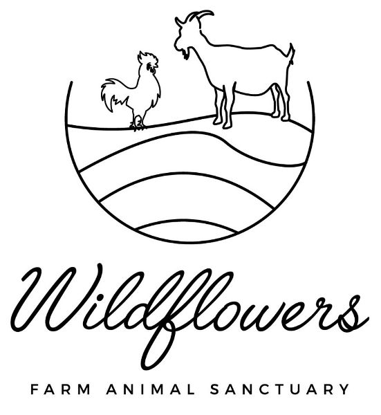 store-logo