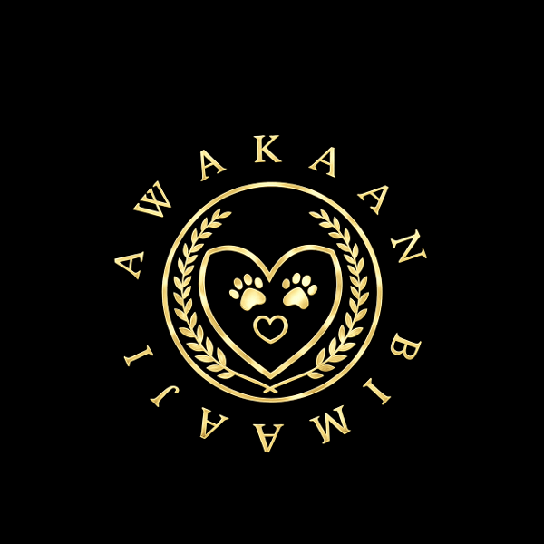 store-logo