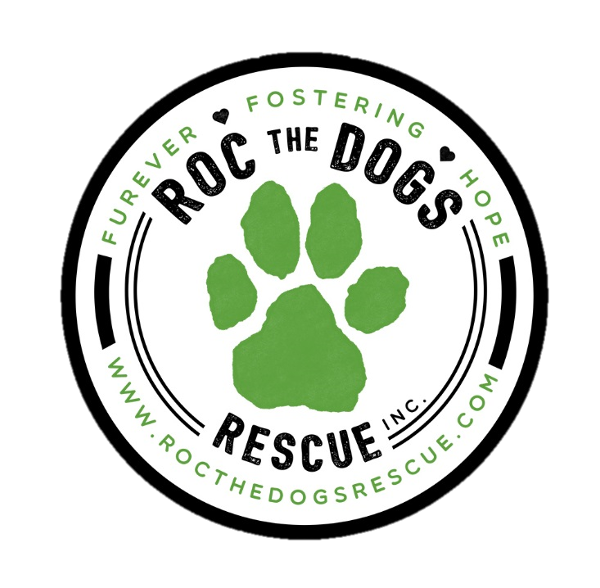 store-logo