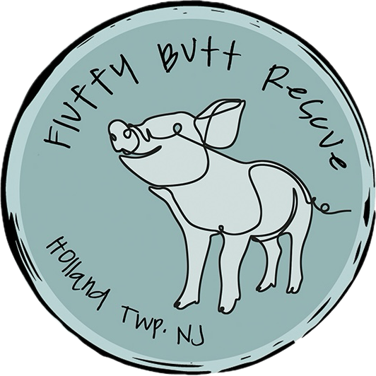 store-logo