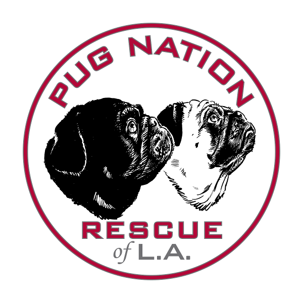 store-logo