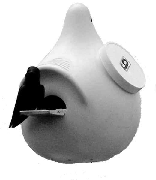 store-logo