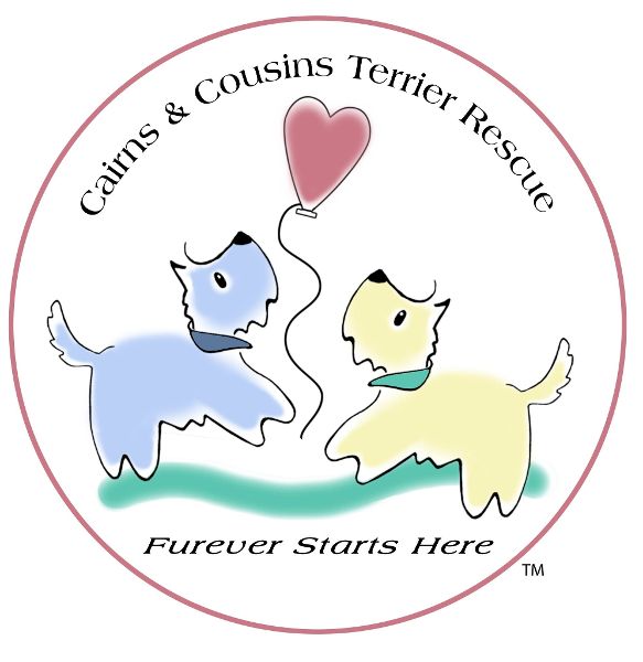 store-logo