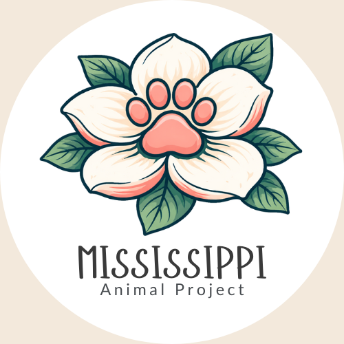 store-logo