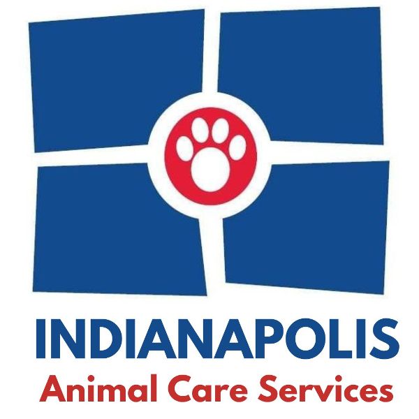 store-logo