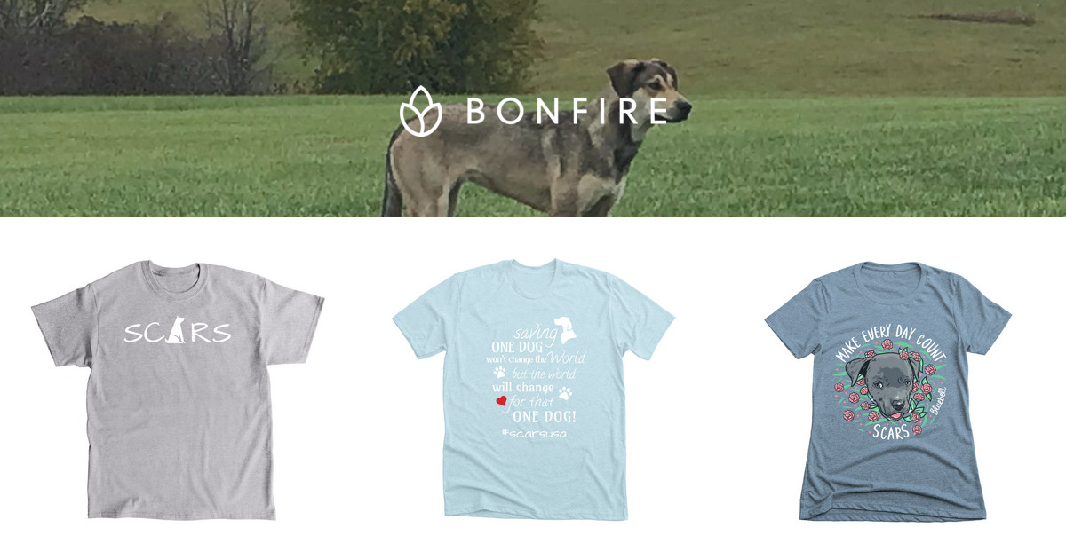 scar second chance animal rescue