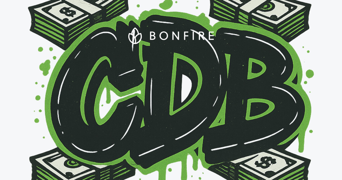 Bag Chaser Clothing Official Merchandise Bonfire